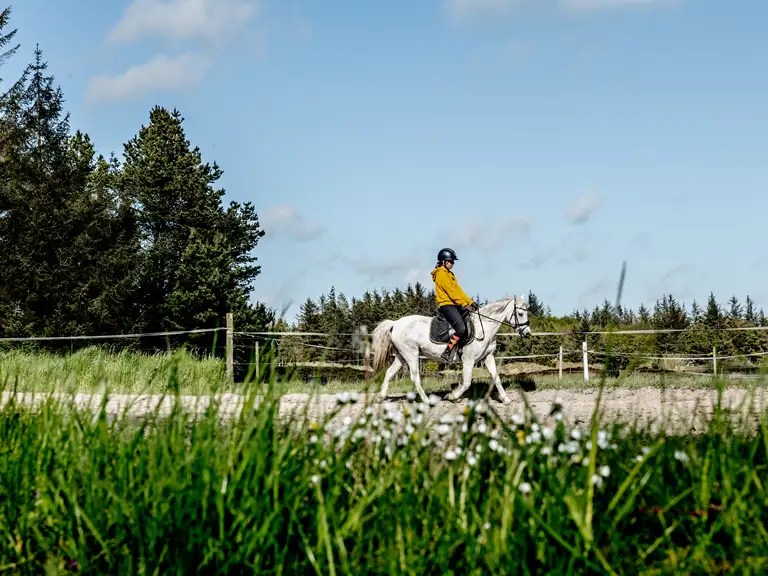 En rytter på en hvid pony